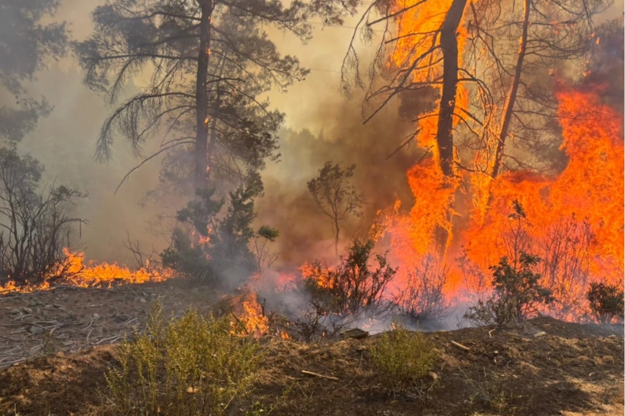 O ilde ormanlara giriş yasak!