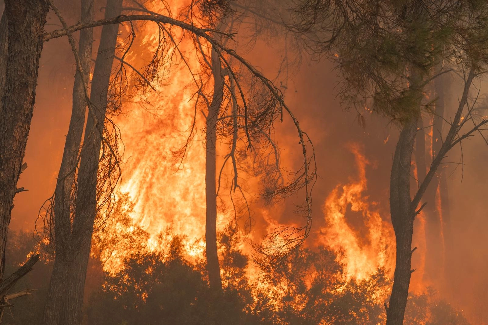 İzmir Gaziemir'deki yangın kontrol altında