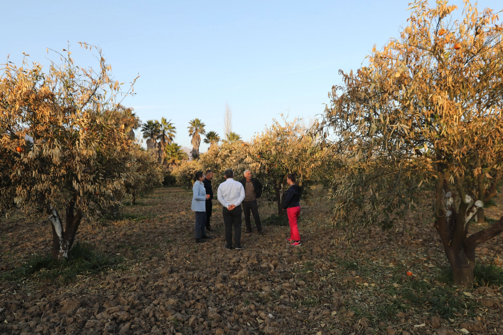 Muğla'da tarımın geleceği alarm veriyor... MUPA'dan sürdürülebilirlik raporu