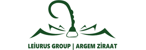 Doğayla Uyumlu Yaşam Alanları: Peyzaj Mimarlığının Dönüştürücü Etkisi