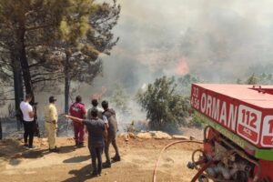 Mersin’deki orman yangınında ikinci gün… 820 kişilik barınma planlaması yapıldı