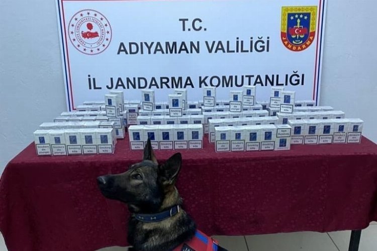 Adıyaman’da KOM Şube Müdürlüğü ekiplerince icra edilen uygulamada, yurda kaçak