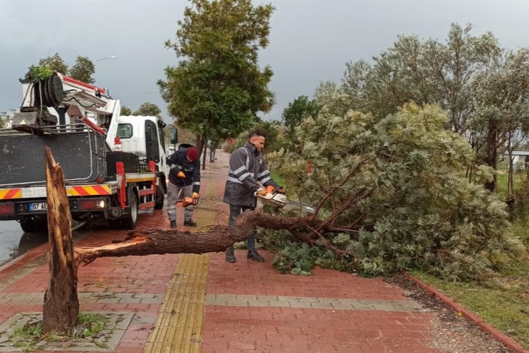 Antalya kent merkezinde hızı saatte 60 kilometreyi bulan fırtına ve