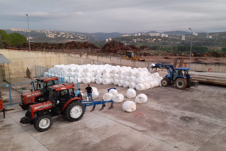 Geçtiğimiz sezon yaklaşık 65 dönüm araziden 250 ton silaj elde