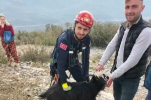 Bursa’nın Gemlik ilçesinde kayalıklarda mahsur kalan keçi için itfaiye ekipleri