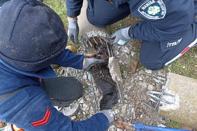 Manisa Büyükşehir Belediyesi İtfaiye Dairesi Başkanlığı ekipleri, beton elektrik direğinin