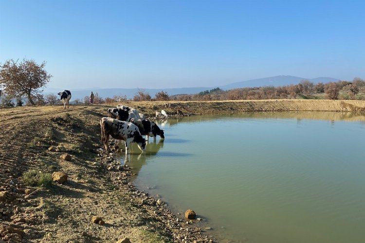 Manisa Büyükşehir Belediyesi Kırsal Hizmetler Dairesi Başkanlığı, 2022 yılı içerisinde