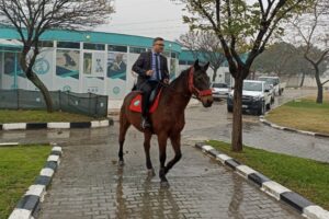 Manisa Büyükşehir Belediyesi bünyesinde kurulan atlı zabıta birimi hizmete girmek