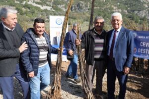 Muğla Büyükşehir Belediyesi tarımsal desteklemeler kapsamında yürüttüğü ceviz, badem ve