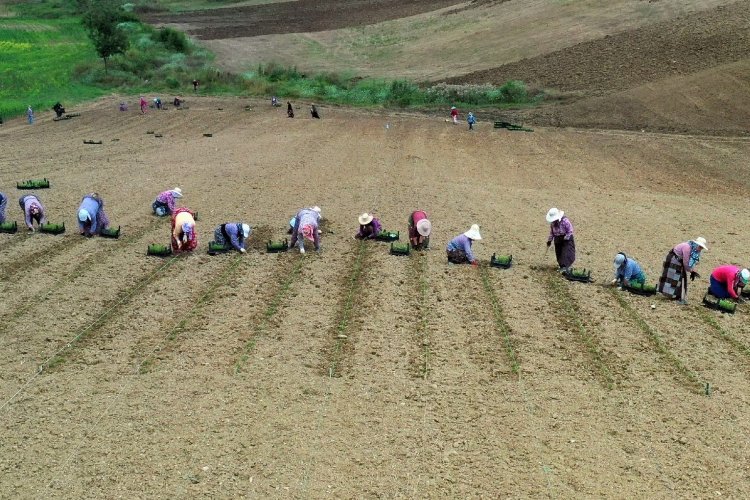 2022 yılından birbirinden önemli projeleri hayata geçiren Sekapark A.Ş. gözünü