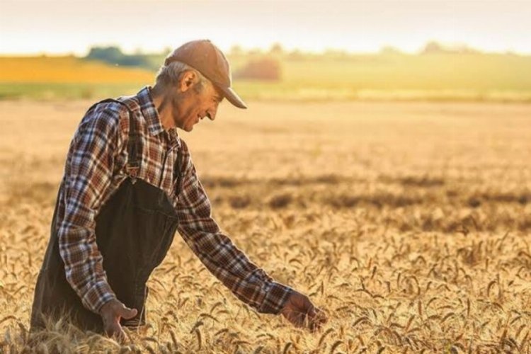 Tarım ürünleri üretici fiyat endeksi (Tarım-ÜFE) yıllık yüzde 151,03, aylık