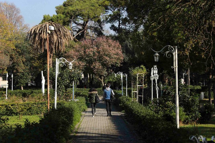 Dokuz Eylül Üniversitesi (DEÜ), Üniversitenin Mühendislik Fakültesi ve İşletme Fakültesi