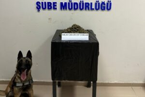 Bingöl polisi, uyuşturucu tacirleri ve kullananlara yönelik düzenlediği operasyonda 568