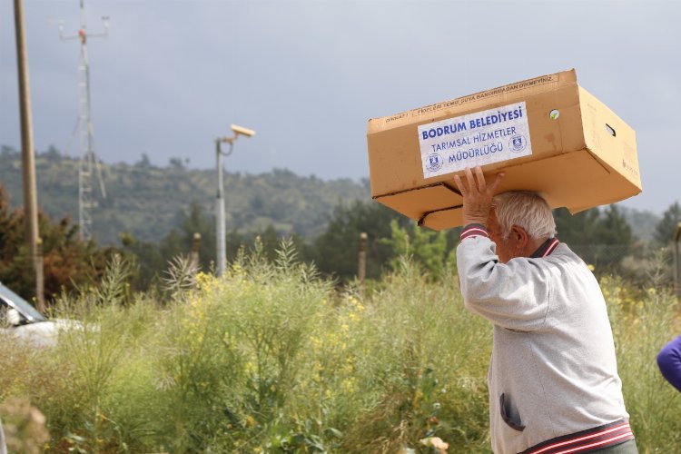 Bodrum Belediyesi, üretim yapan çiftçilere destek olmaya devam ediyor. Bahçeyaka