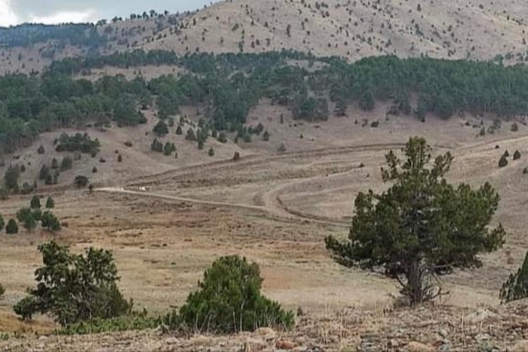 Burdur’a bağlı Karamanlı ve Yeşilova ilçeleri arasında bulunan Eşeler Yaylası