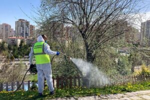 Kayseri’nin Talas Belediyesi, kış döneminin geride kalmasıyla birlikte yuvalarından çıkmaya