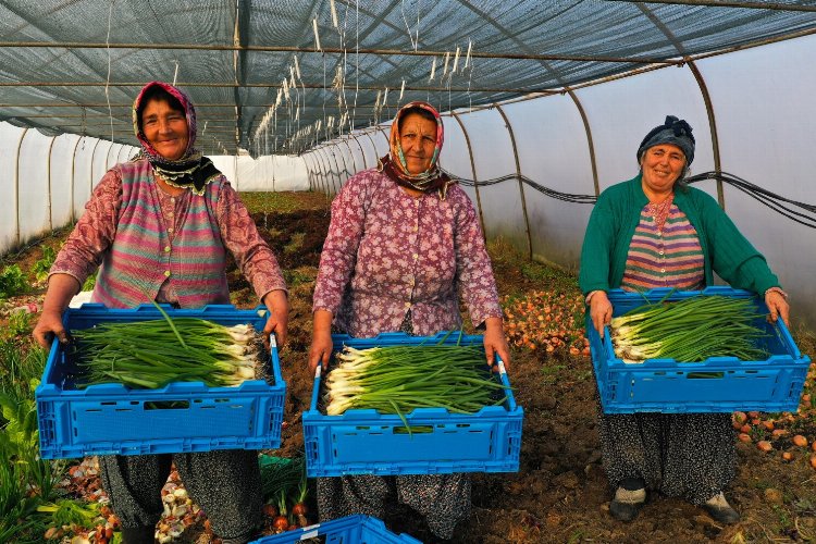 Kocaeli Büyükşehir Belediyesi’nin yüzde 50 hibeli modern sera ve sera