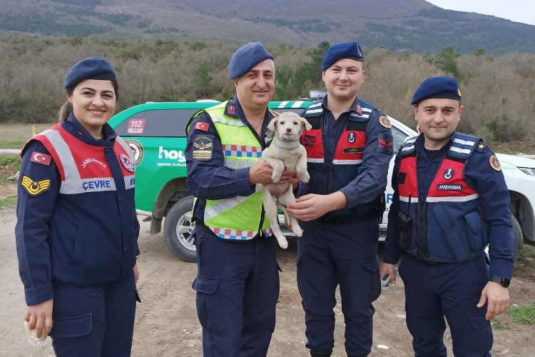 Bilecik İl Jandarma Komutanlığı Çevre, Doğa ve Hayvanları Koruma Tim