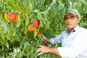 Üç hafta önce hava sıcaklığının sıfırın altında 4,6’ya kadar düştüğü