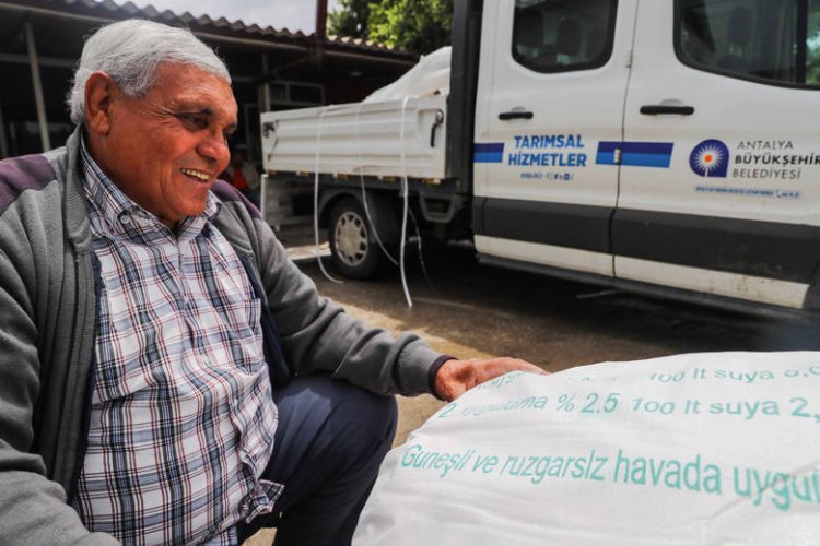 Antalya Büyükşehir Belediyesi Aksu ilçesine bağlı Alaylı Mahallesi’nde tarım mahsullerinin