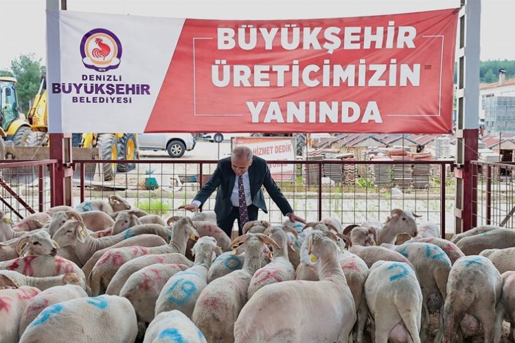 Küçükbaş hayvancılık yapan üreticilerin sürülerinde kalite ve verimin artması amacıyla