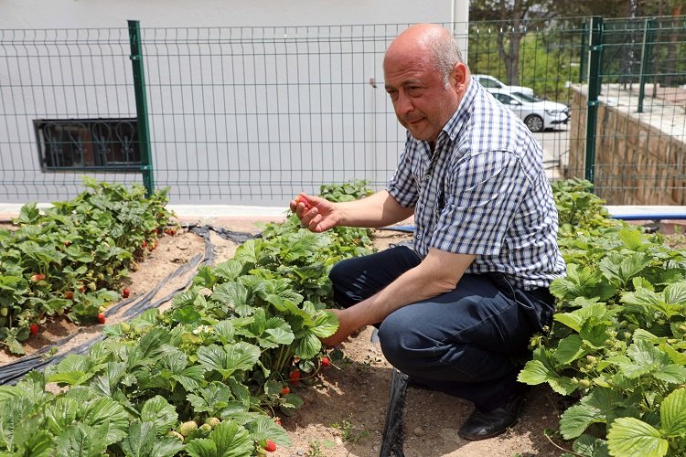 Talas Belediyesi’nin tarım ve hayvancılıktaki yenilikçi ve örnek modeli her