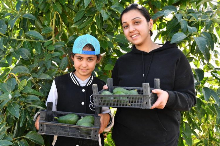 Tarımsal Hizmetler Dairesi Başkanlığı bünyesinde yüzde 50 hibe ile verilen