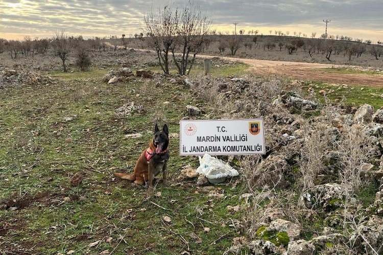 Mardin İl Jandarma Komutanlığınca yapılan istihbarı çalışmalar doğrultusunda Dargeçit ilçesinde