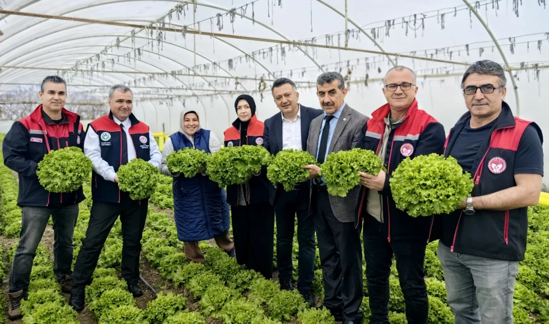 Bursa’da Yaprağı Yenen Sebzelerde Kalıntıyla Mücadele Eylem Planı kapsamında biyolojik